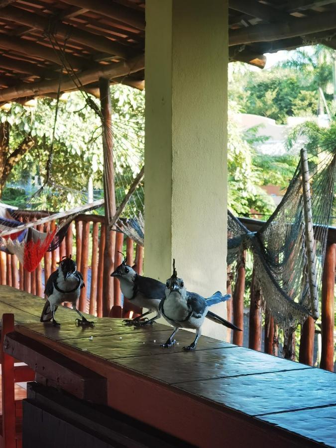 Hotel Georgi Cr Veintisiete de Abril Bagian luar foto